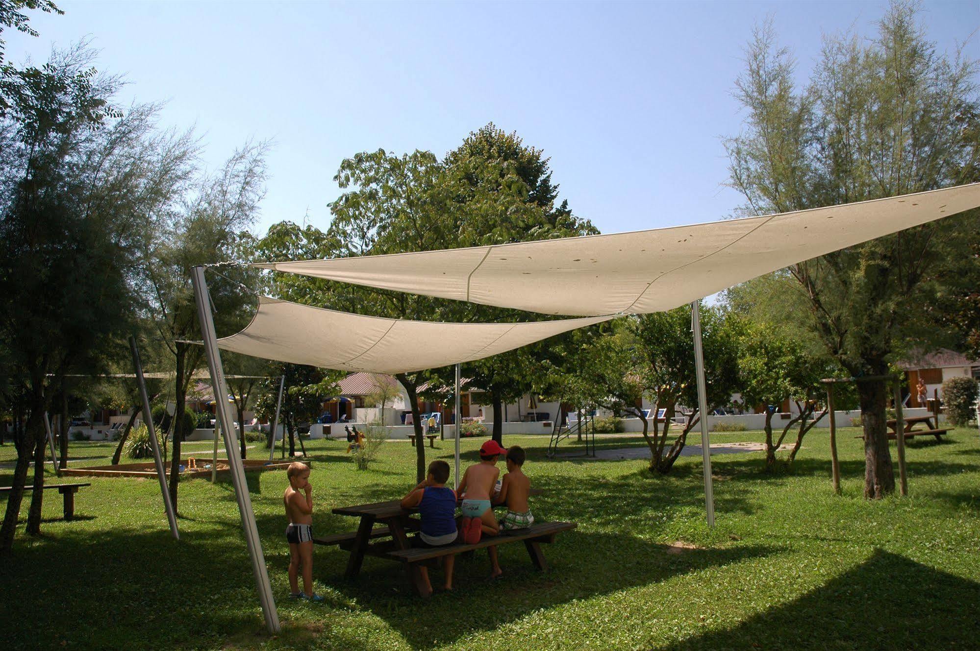 Albatros 3*